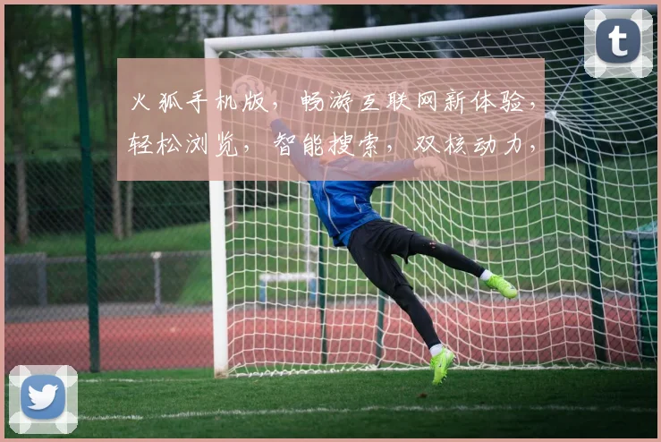 火狐手机版，畅游互联网新体验，轻松浏览，智能搜索，双核动力，引领潮流，畅享无忧生活，一触即达