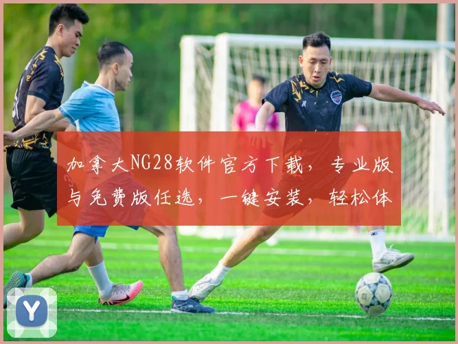 加拿大NG28软件官方下载，专业版与免费版任选，一键安装，轻松体验