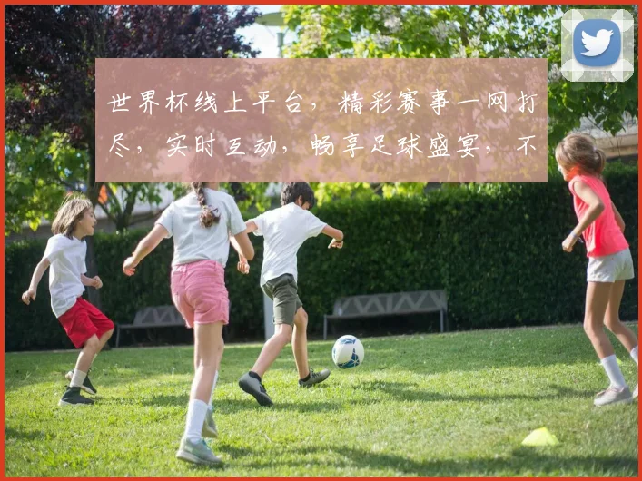 世界杯线上平台，精彩赛事一网打尽，实时互动，畅享足球盛宴，不容错过